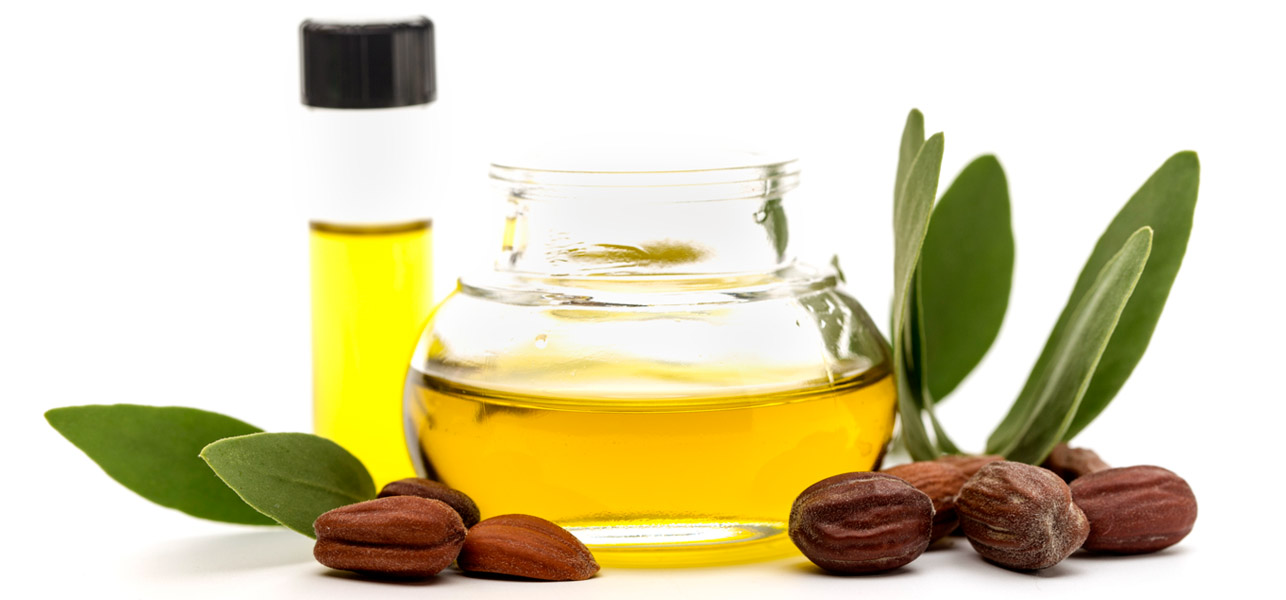 Dầu Jojoba – Thành Phần Làm Đẹp Đa Năng Cho Da Và Tóc