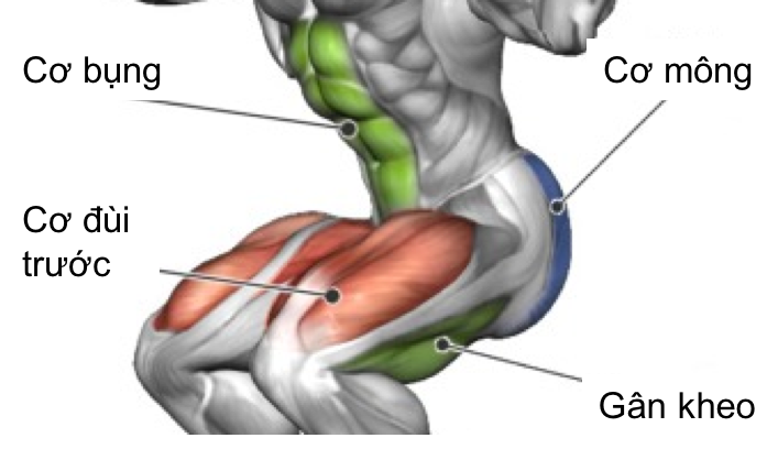 Tập squat đúng cách để mông nở đùi vẫn thon