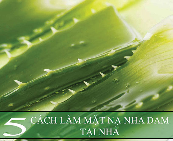 5 Cách Làm Mặt Nạ Nha Đam Dưỡng Da Tại Nhà Bạn Đã Biết Chưa?