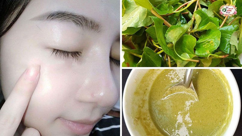 Đắp Mặt Nạ Rau Diếp Cá Mỗi Ngày Có Nên Không?