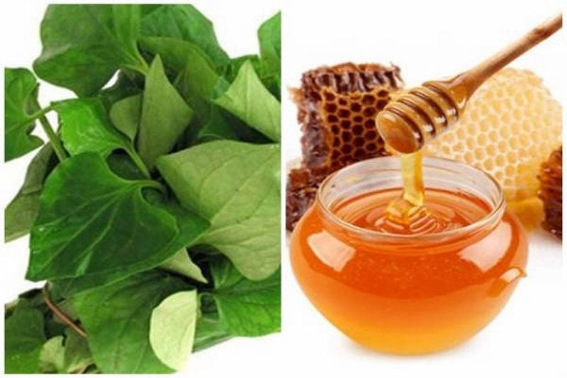 Mặt nạ rau diếp cá với mật ong