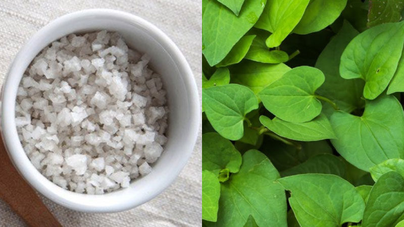 Mặt nạ rau diếp cá với muối biển