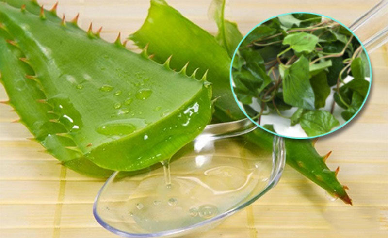 Mặt nạ rau diếp cá với nha đam