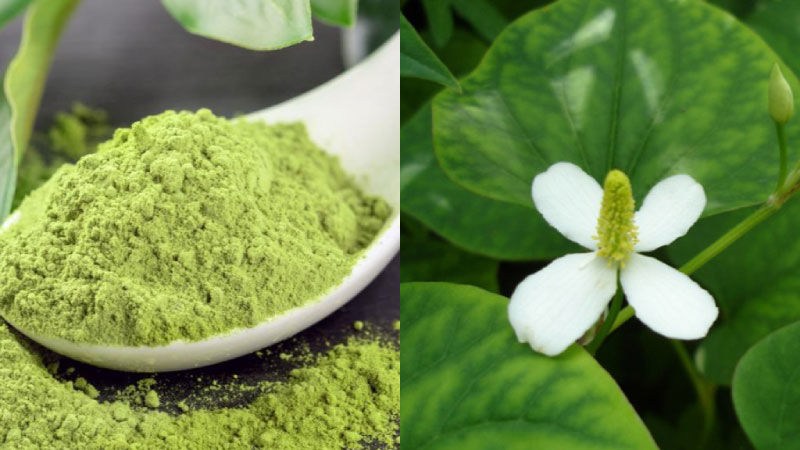 Mặt nạ rau diếp cá với trà xanh