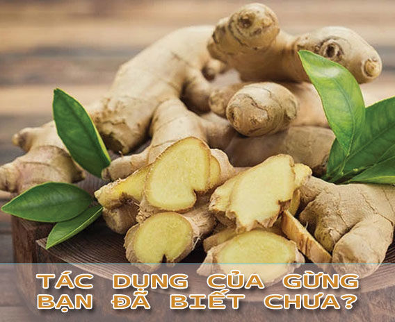 Lợi Ích Không Tưởng Của Gừng Và 10 Tác Dụng Của Gừng Bạn Nên Biết