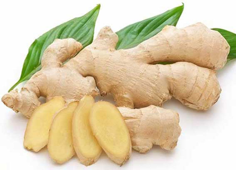 Đặc Điểm Thú Vị Về Cây Gừng