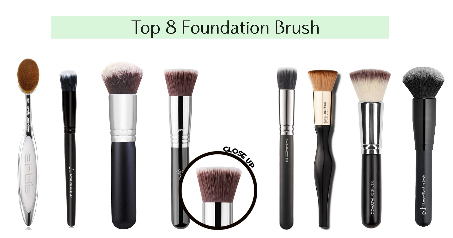 Top 8 cây “cọ thần” cho lớp nền hoàn hảo