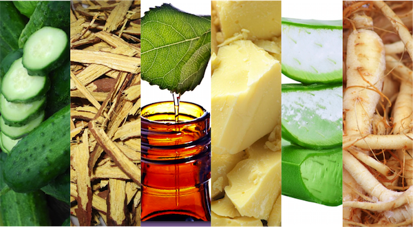 Công Dụng Của Các Thành Phần Thiên Nhiên Trong Mặt Nạ Dưỡng Da